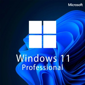雨人系统 Ghost win11 24H2 64位专业版优化纯净版YR_C5